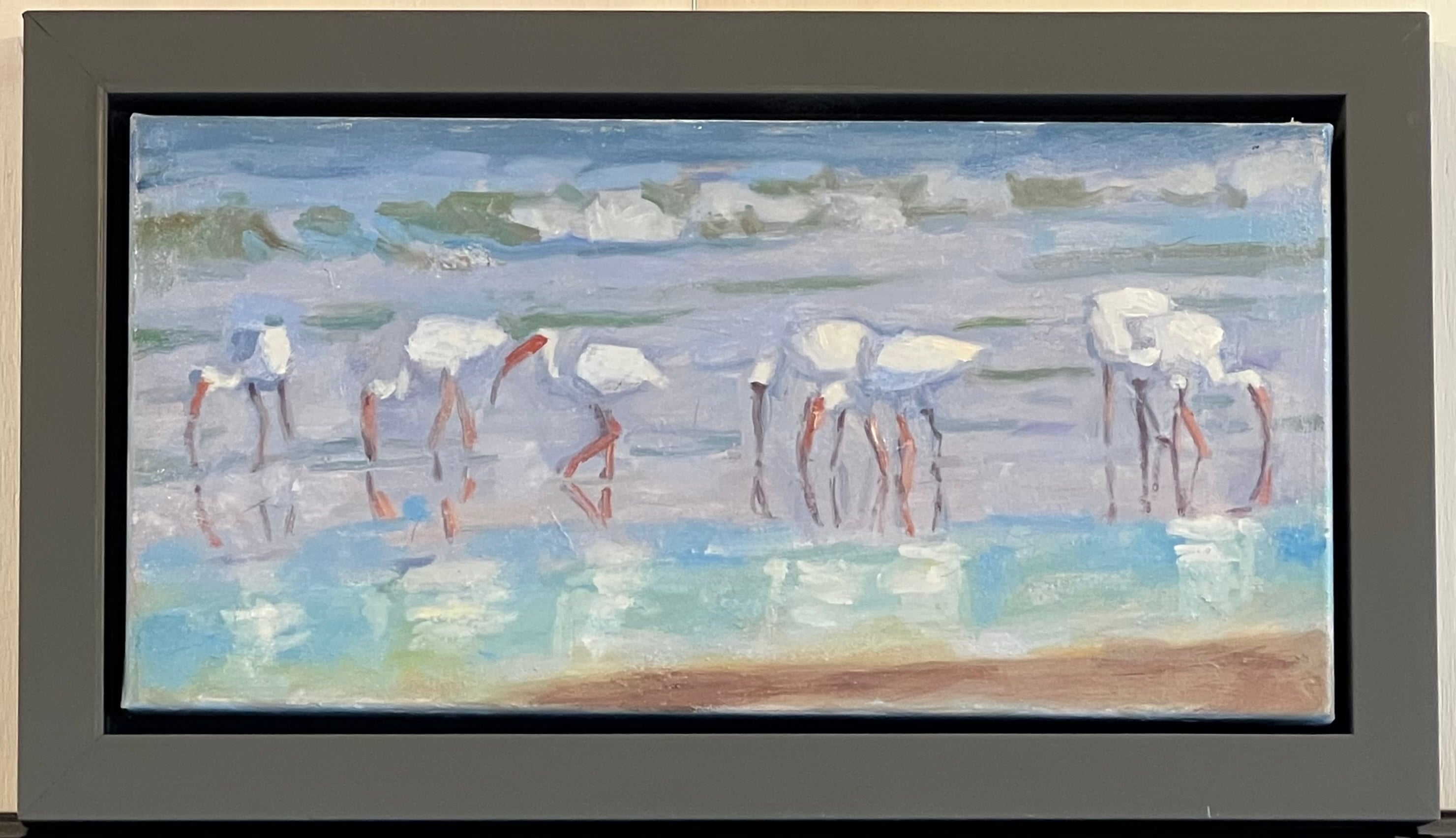 White ibis on the beach