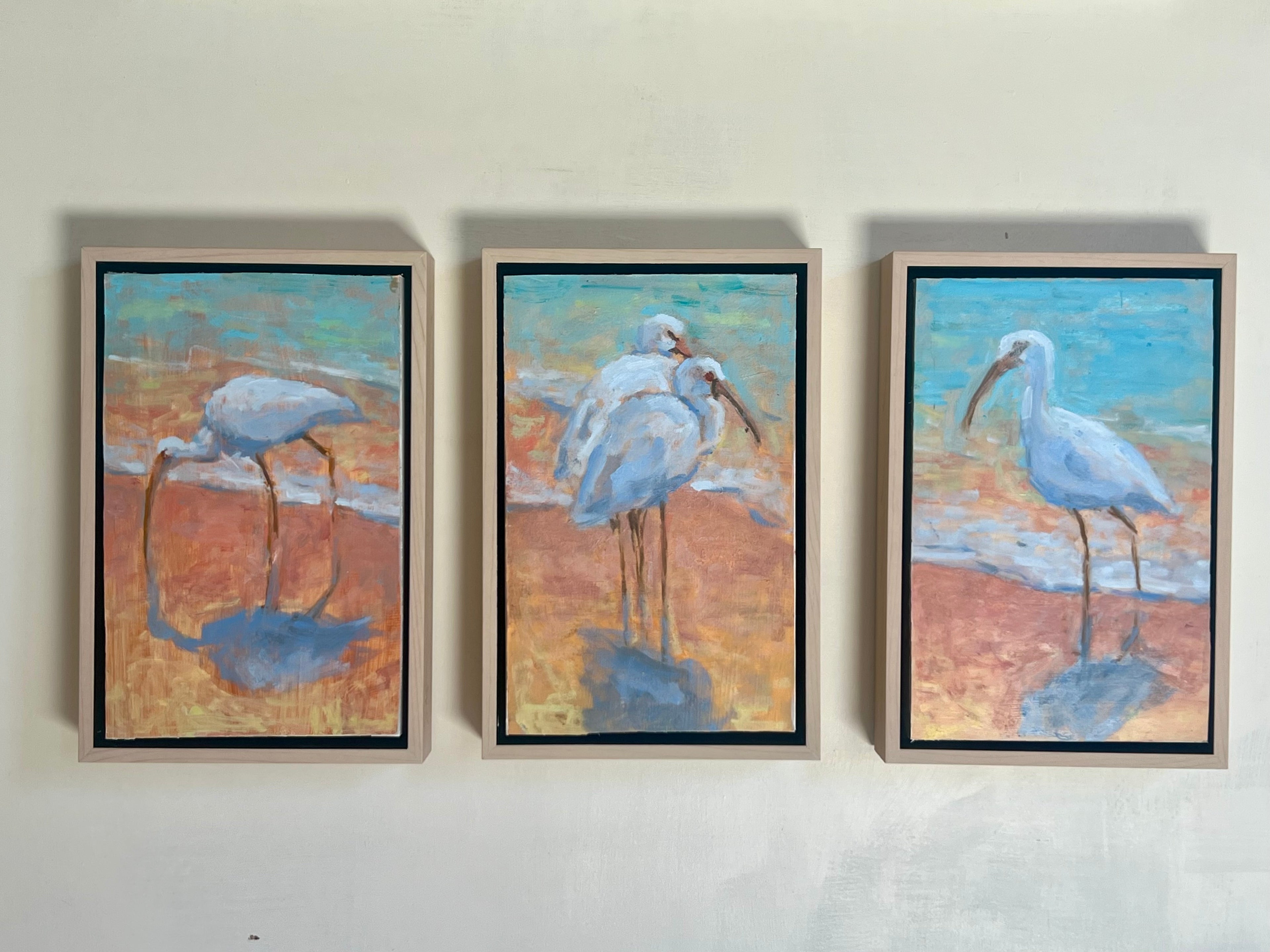 Ibis on the beach - triptych