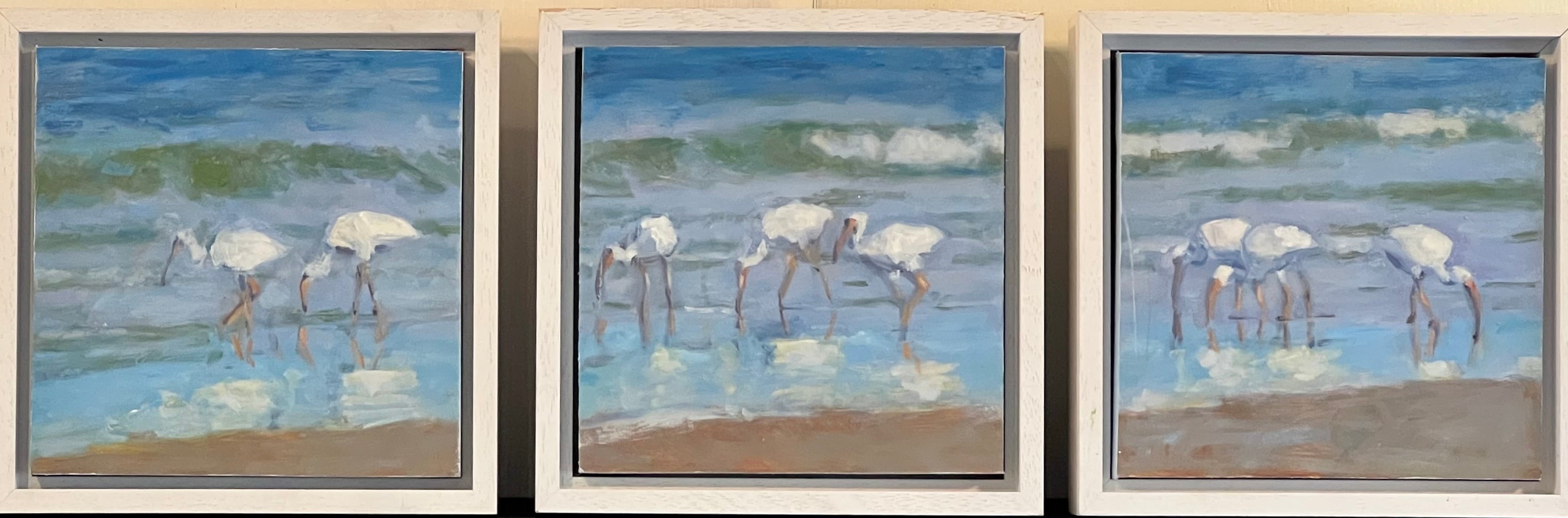 Ibis on the beach triptych
