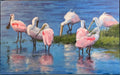 Guana Spoonbills